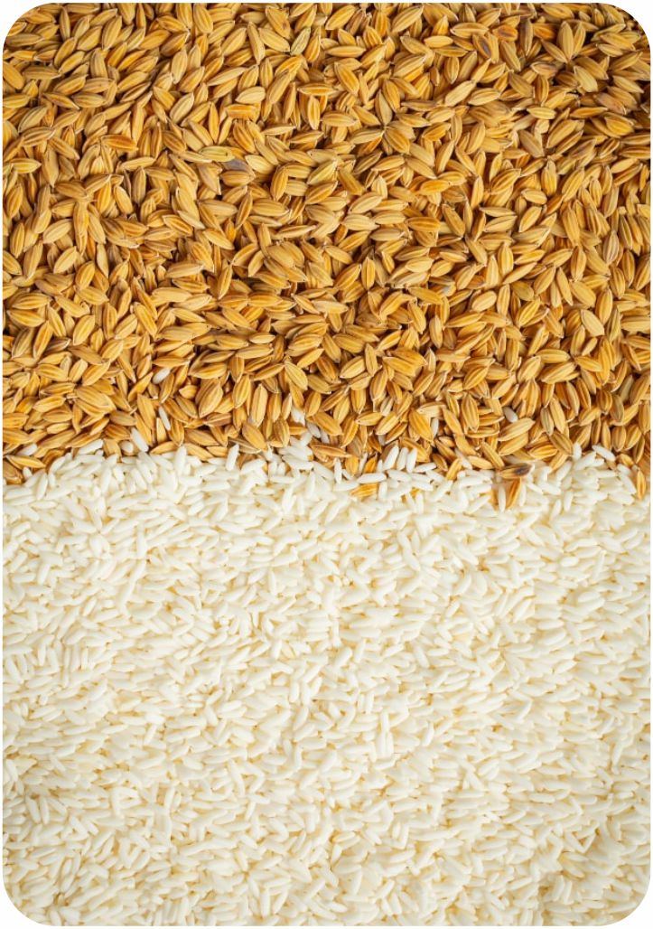 Rices